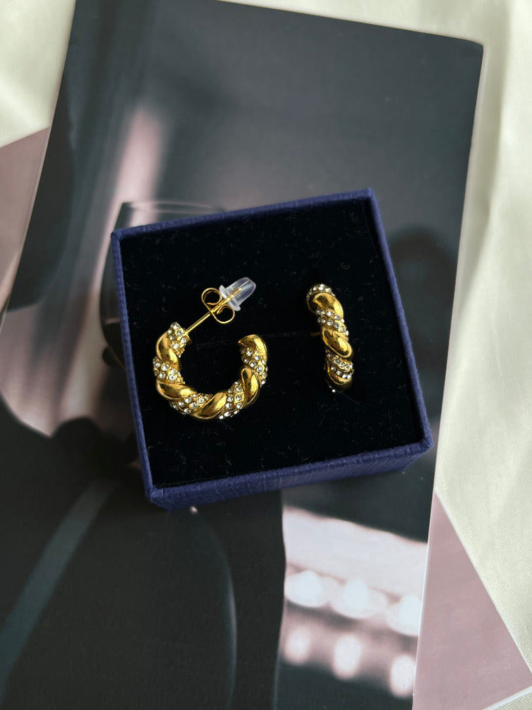 Ray Ray Earrings