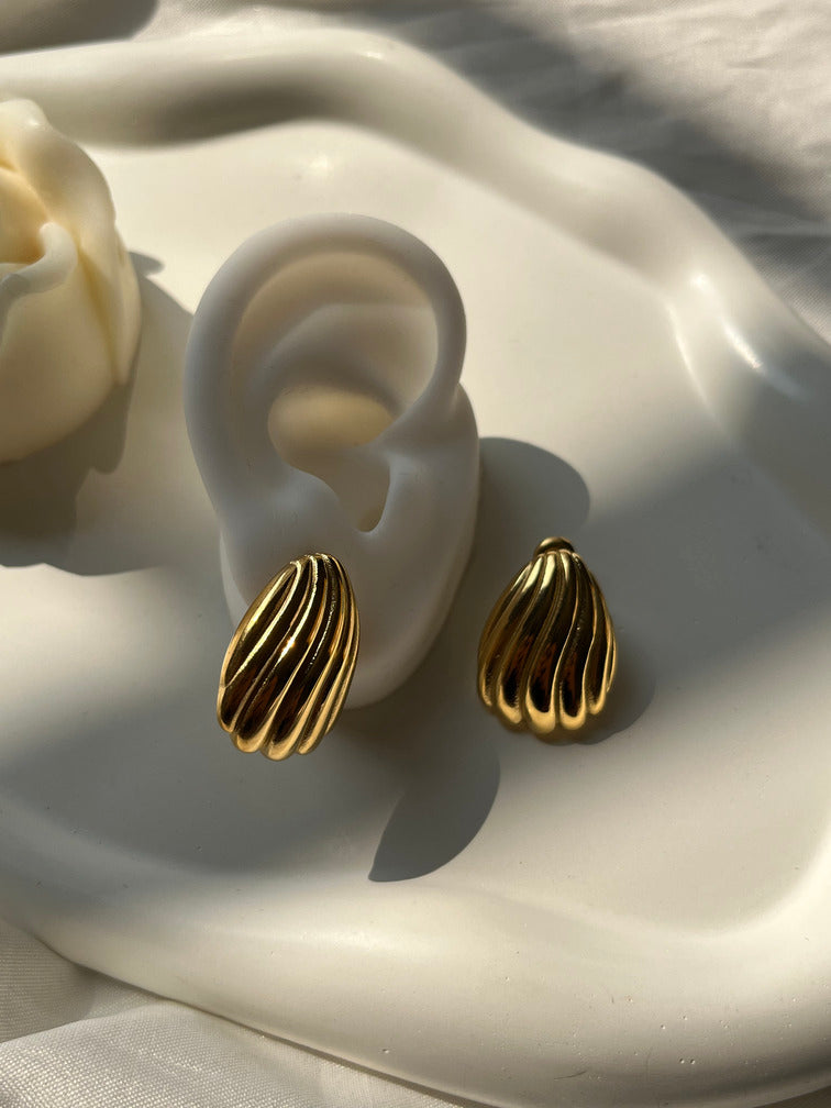 Golden Shell Earrings