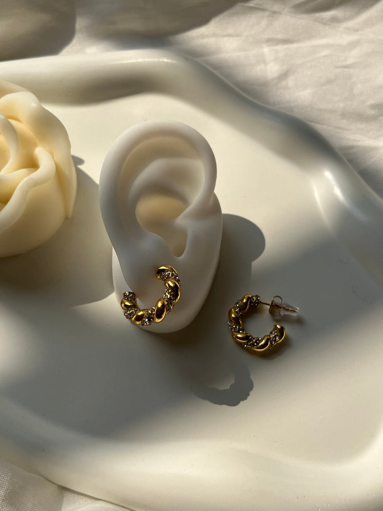 Ray Ray Earrings