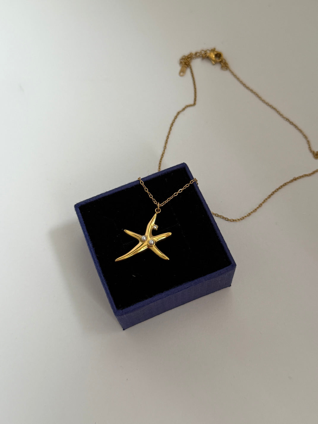 Starfish Necklace