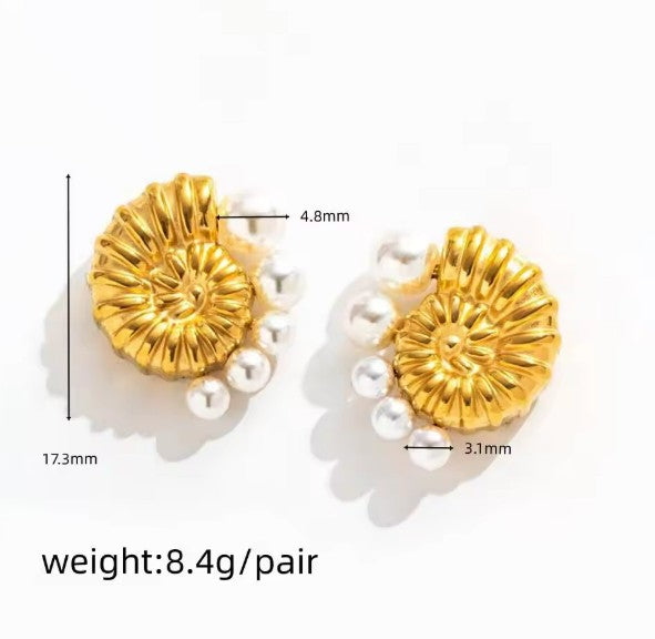 Sea Shell Earrings