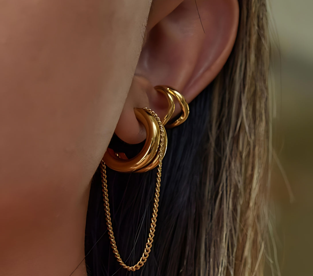 Earrings