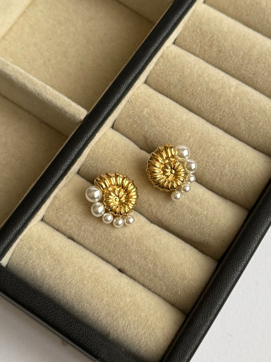 Sea Shell Earrings
