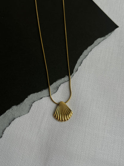 Shell Pendant